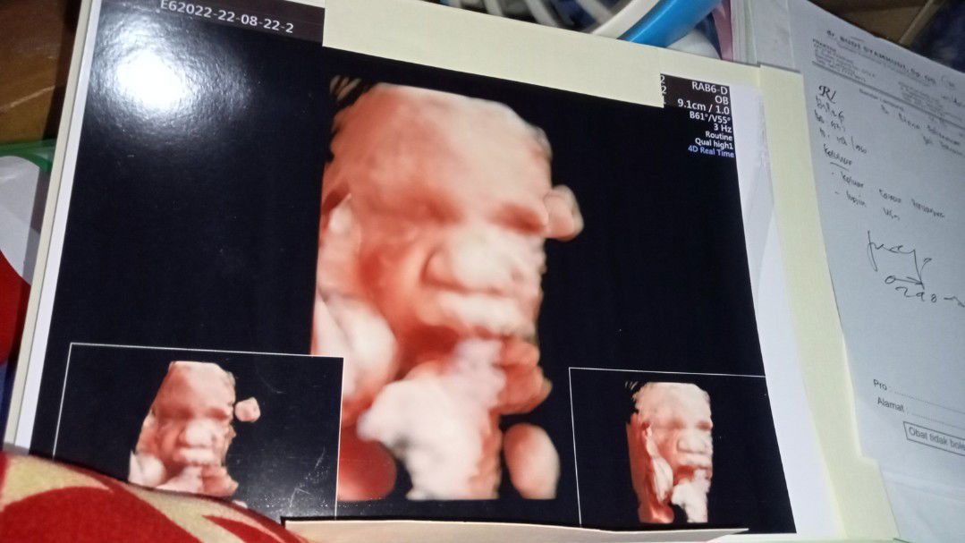 Mega Fatmawati profile icon