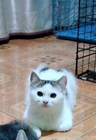 Mama AA profile icon