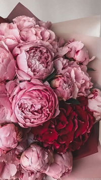 Syafiqah Said Nazar profile icon