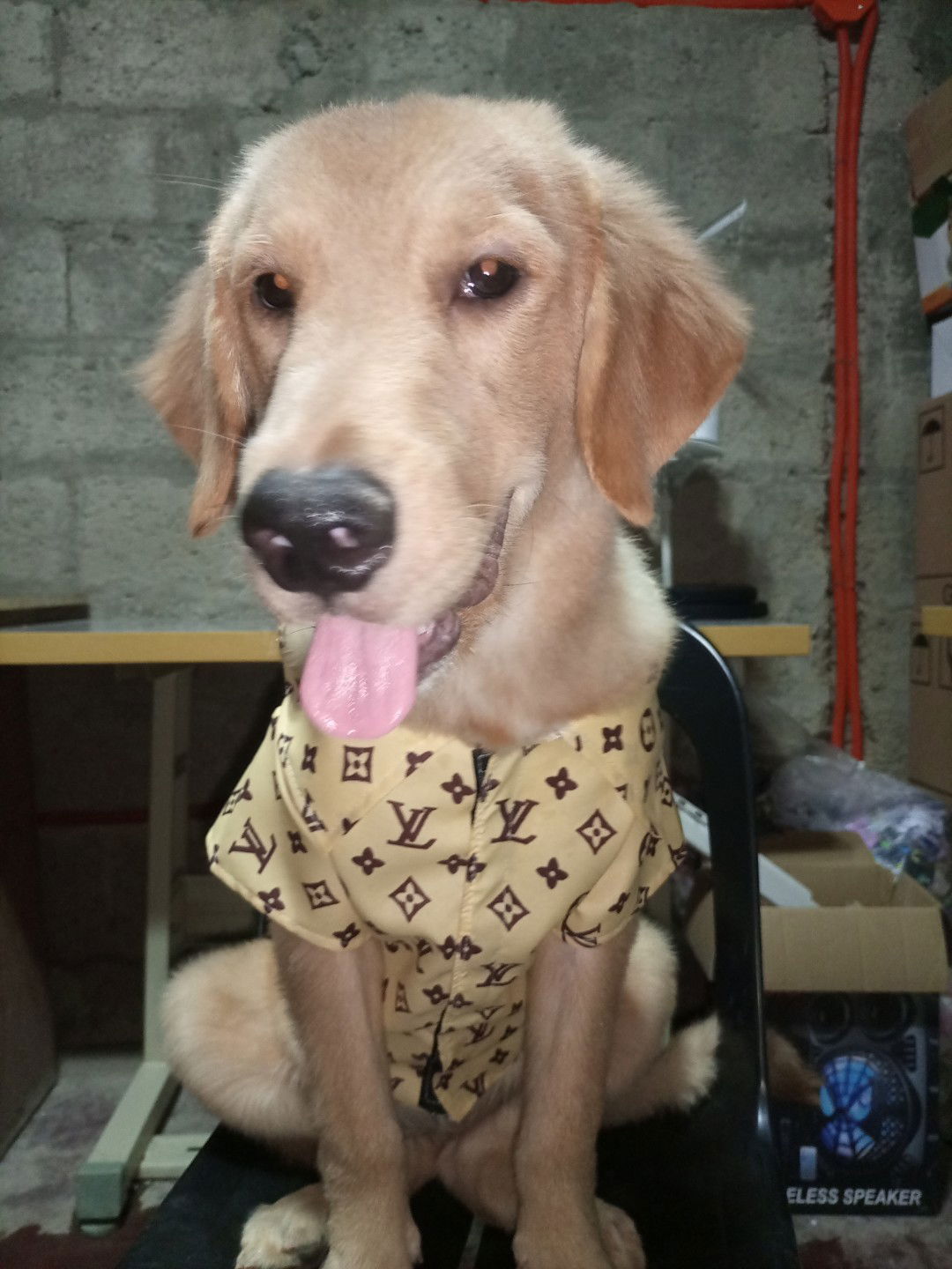 Dwight Margarette ramirez profile icon