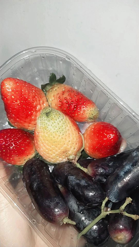 Normayani Qamara profile icon