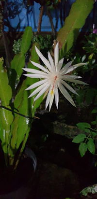 Siti Latifatur Rohmah profile icon