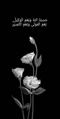 Syarifah Liza profile icon