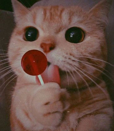 Vanie Geovanie profile icon