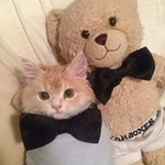 Pproy Proy profile icon