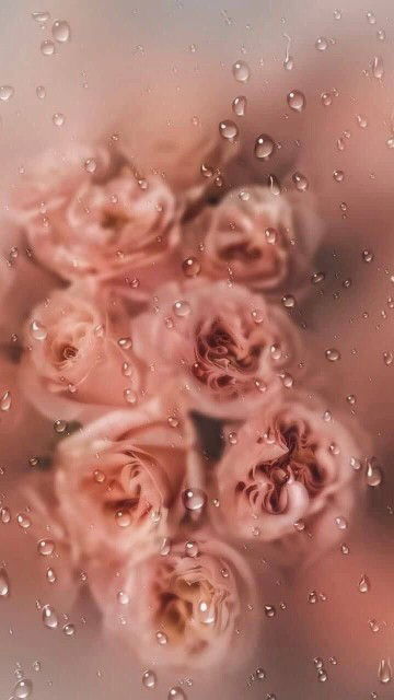 Jeraliza Barbosa Baitan profile icon