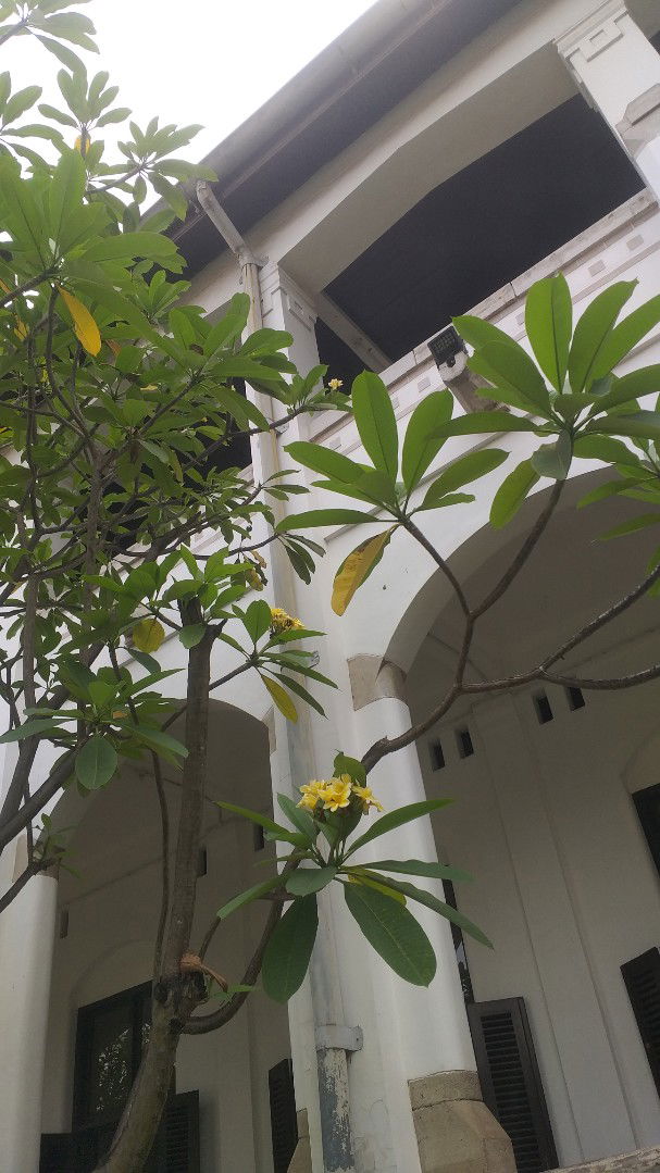 Ibun of two🤍 profile icon