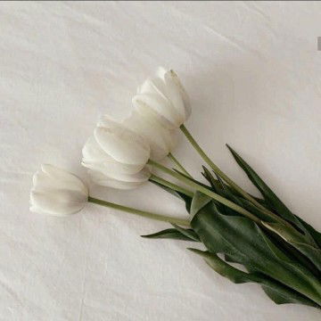 Mummy Syiqah profile icon