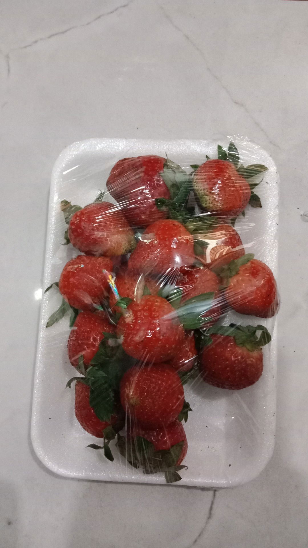 Putri Fatmawati profile icon