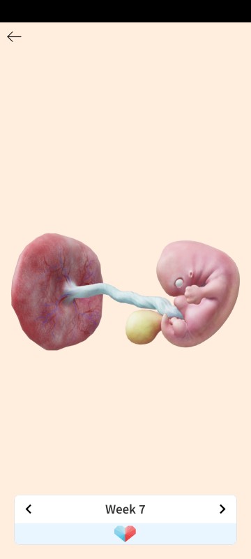 Alfiaa Achmad profile icon