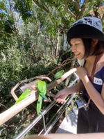 Yoshida profile icon