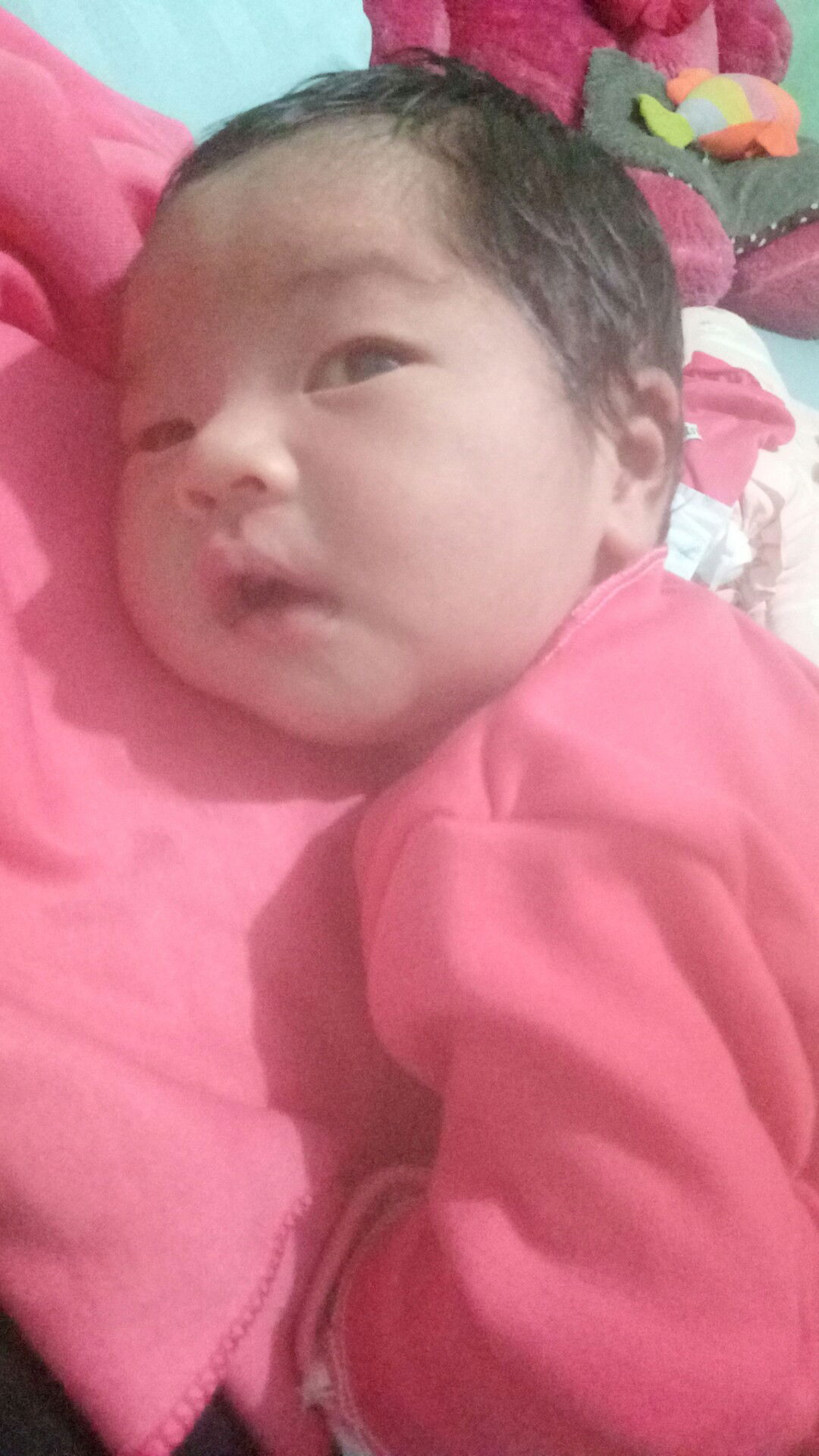 Rupi Lestari Wijaya profile icon