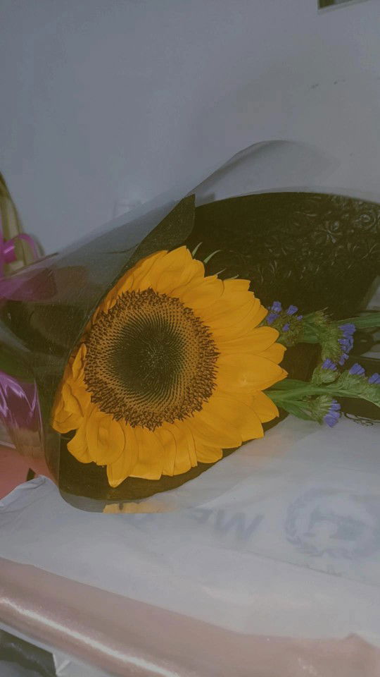 ChimChim profile icon