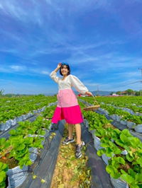 โน เบล profile icon