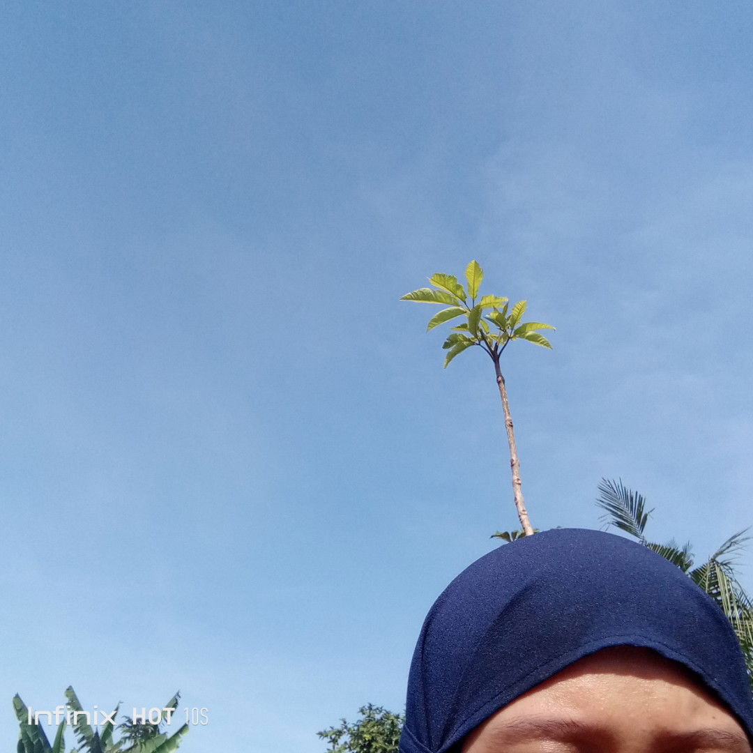 Siti Mariyam profile icon