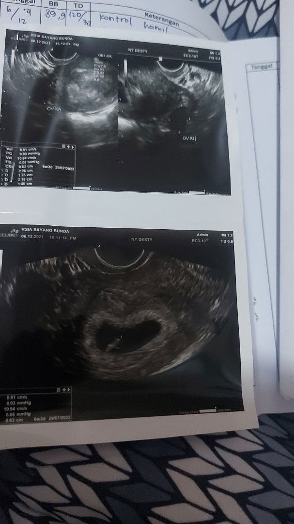 arsip 111 profile icon