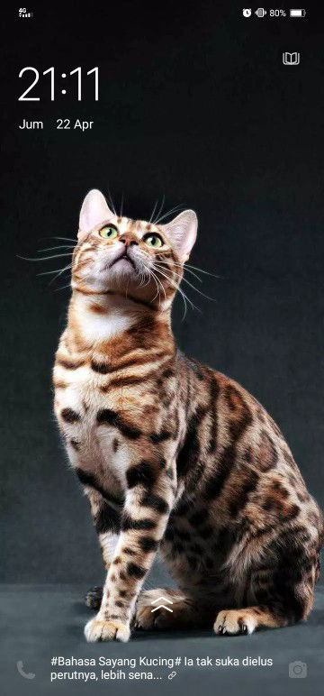 Neissa Nuri agustin profile icon