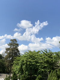 Thanyarat Saengsanun profile icon