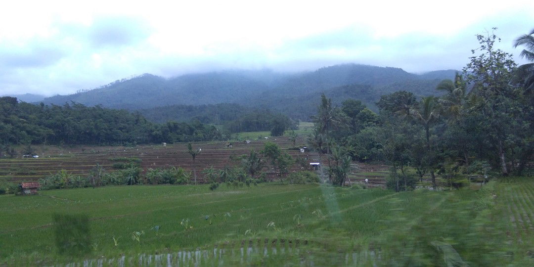 Septy Mulyana profile icon