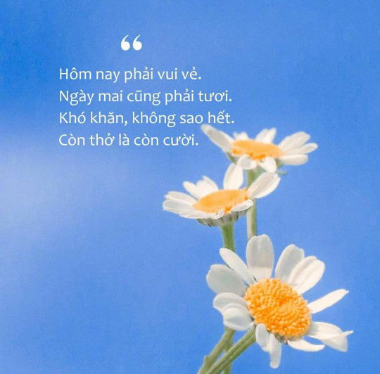 Thảo Tiên profile icon