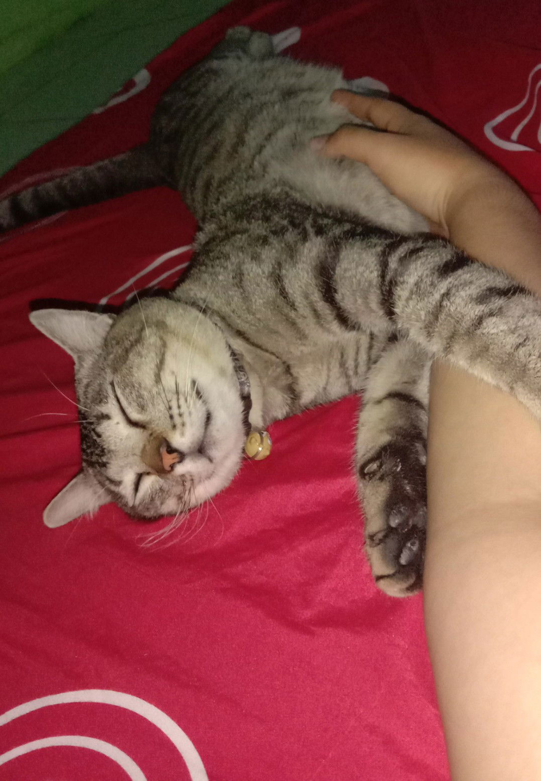 alvira Larasati profile icon