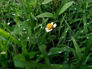 Esti Komalasari profile icon