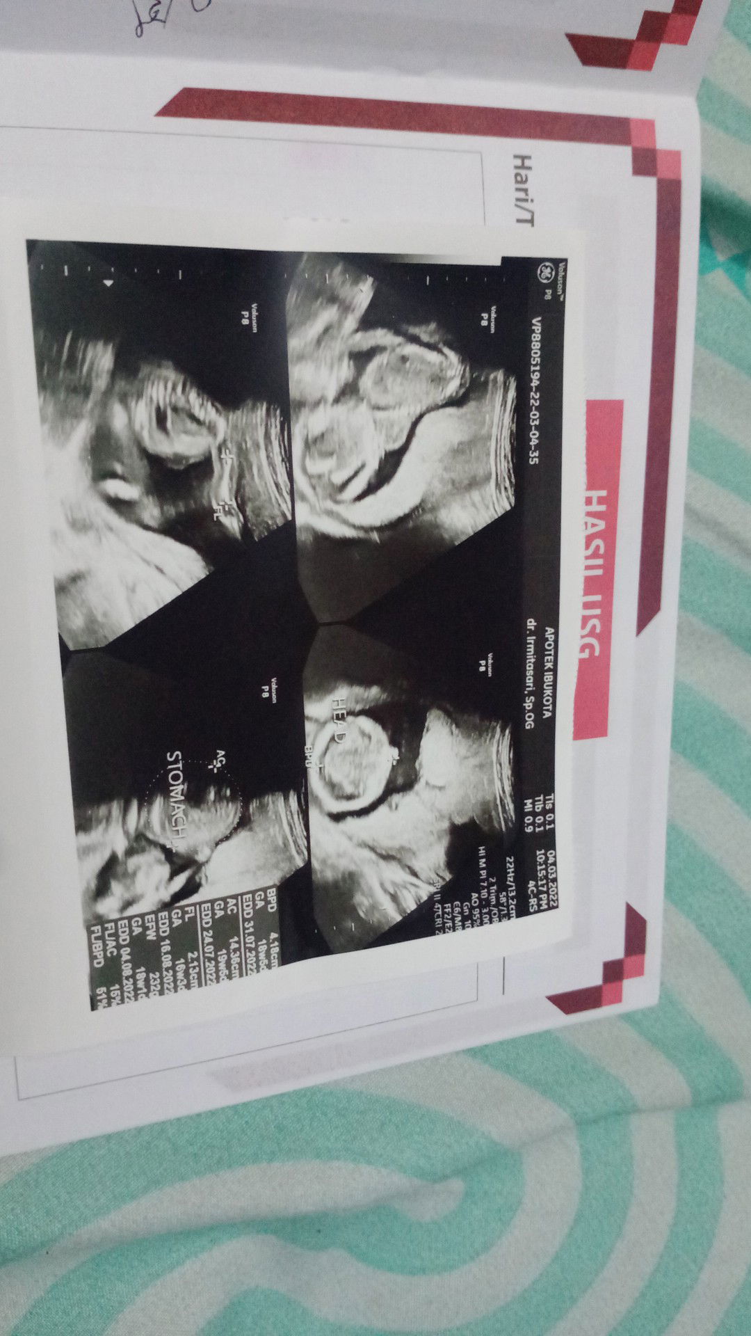 Miladina Karimah profile icon