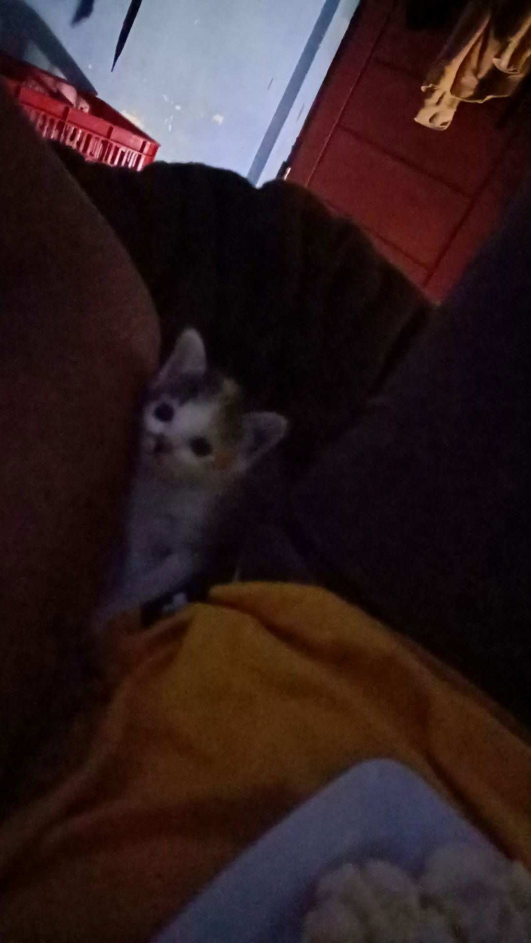 Yunita Indah profile icon