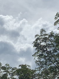 Finnie Fanee profile icon