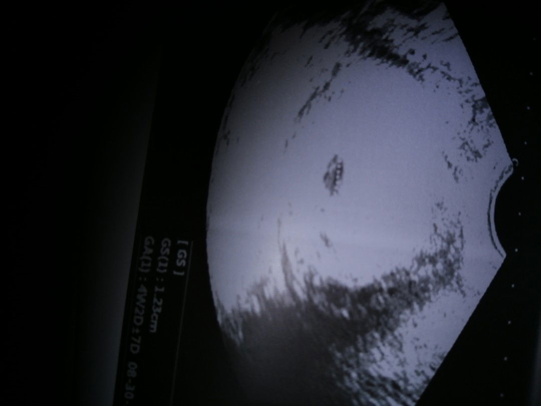 ExcitedMama profile icon