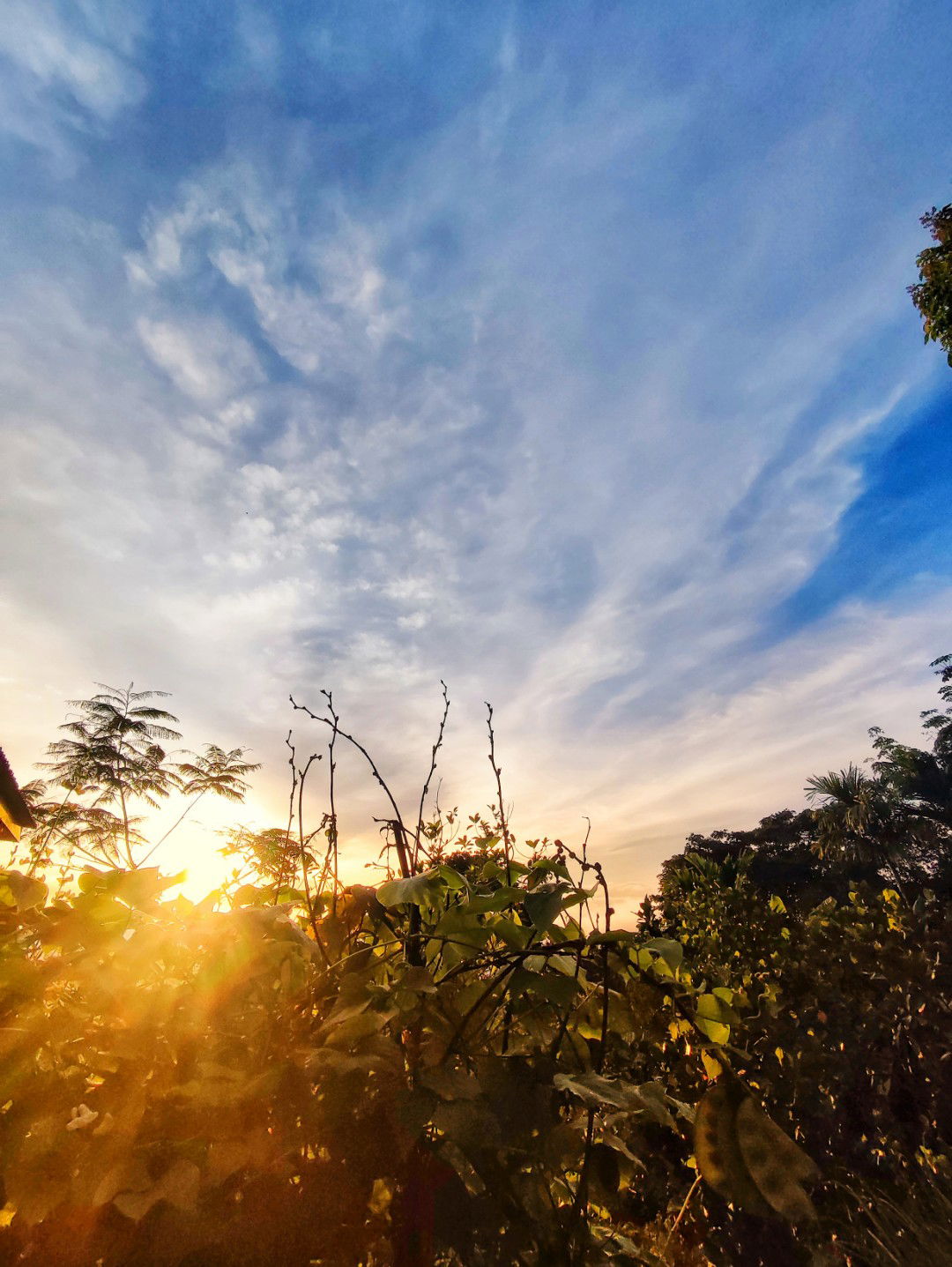 rohaidah jefri profile icon