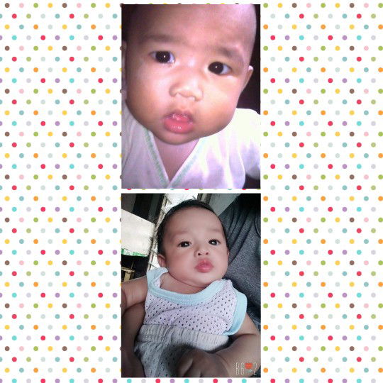 Elvina Anna Anasia Foster profile icon