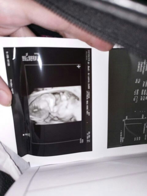 Fitria f3a profile icon