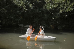 Nook Tarika profile icon