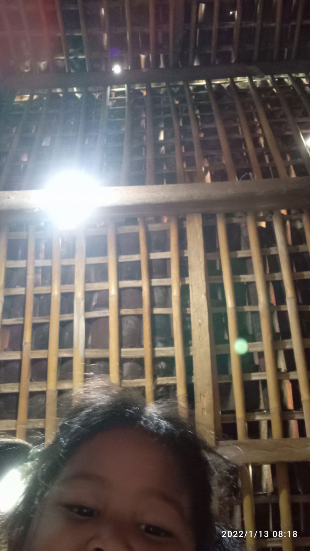 lia_amalia profile icon