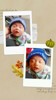 Monica Safitri profile icon