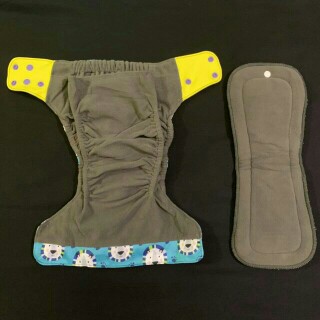 Looking for cloth diaper