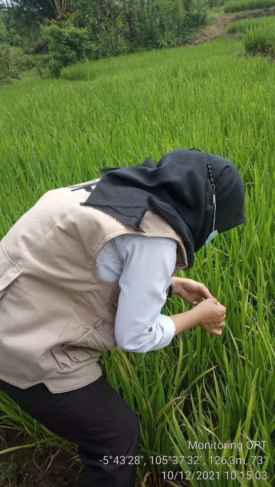 irma fitriyana profile icon