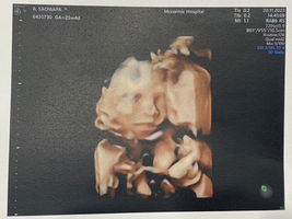 Saowapa Boontoom profile icon