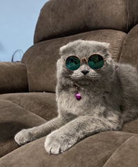 Nur Farahin profile icon