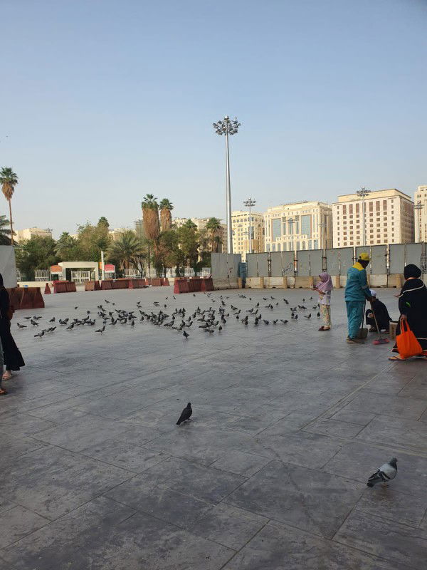 ibu indi profile icon