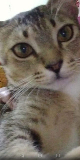 shahirah profile icon