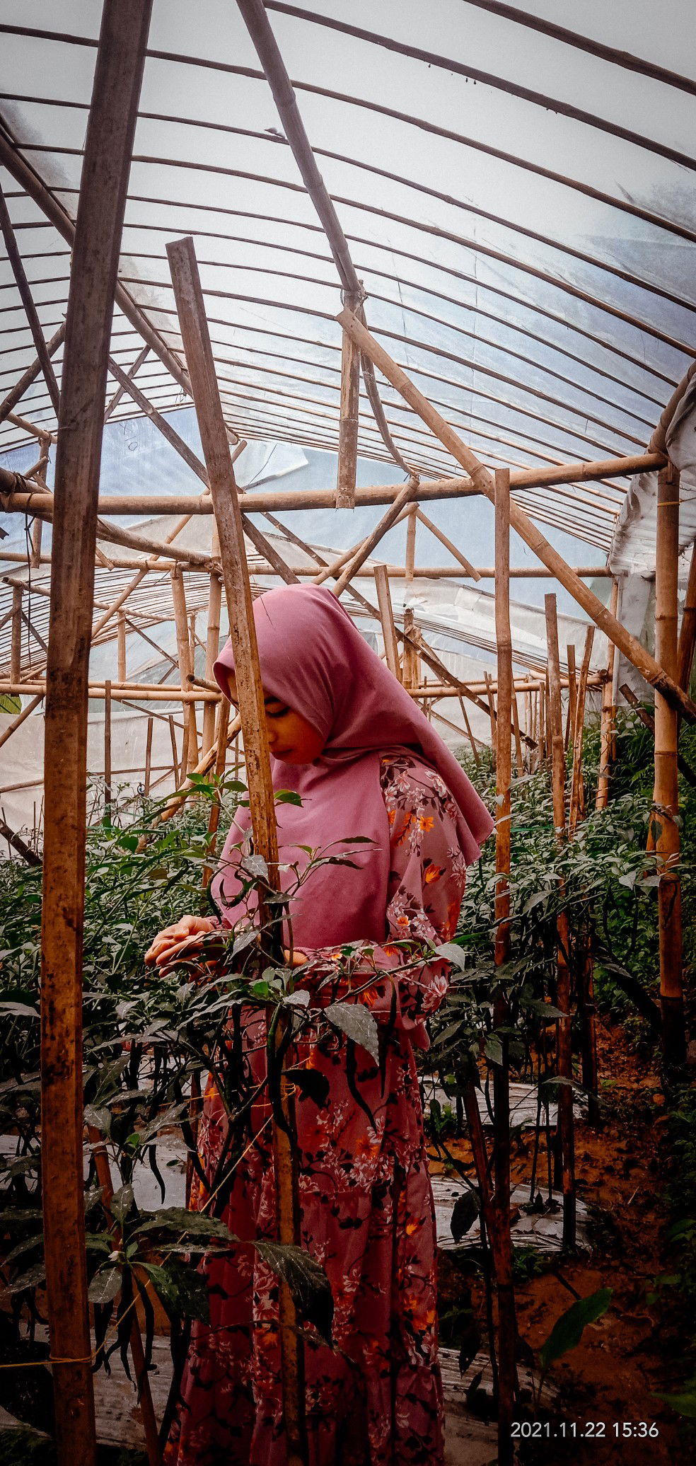 Nur Hasanah profile icon