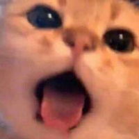 มายด์ profile icon