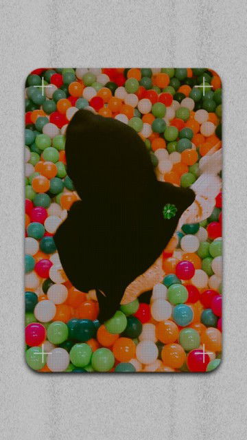 Chaaimie profile icon