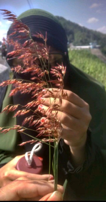 Bunga Kusuma Wulandari profile icon