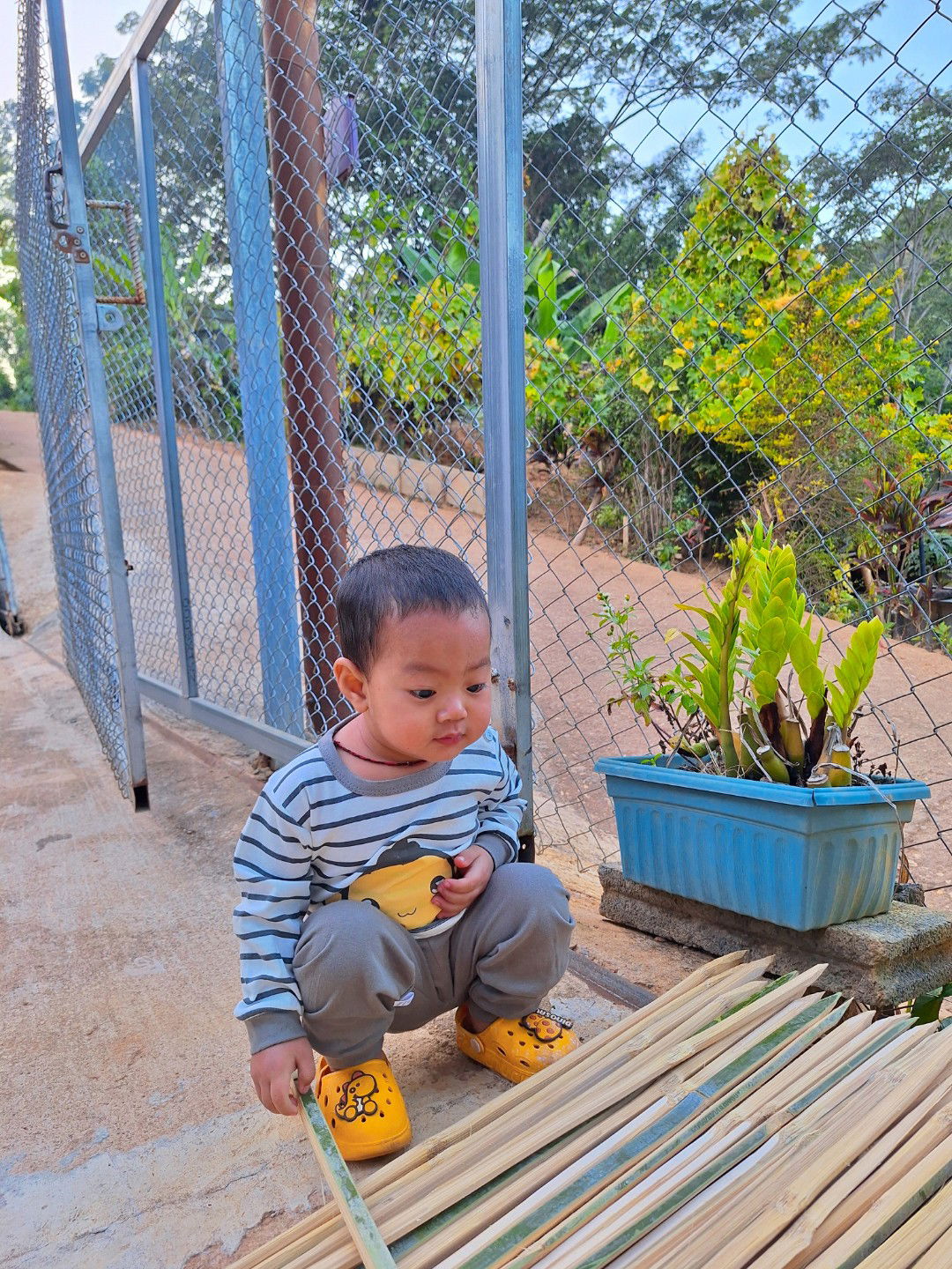 Chonitcha Soplom profile icon