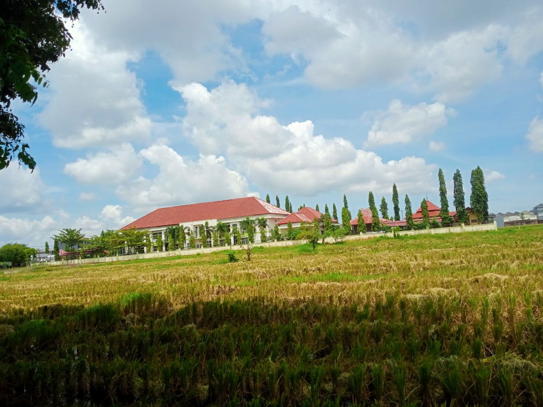 momyjiaaan profile icon