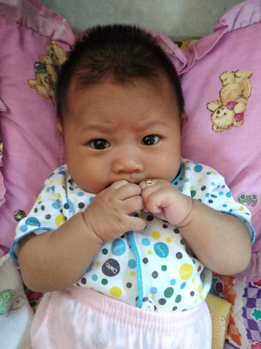 #petuahmertuaTAP