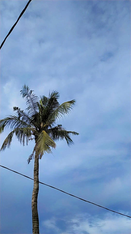 UswtnHs profile icon